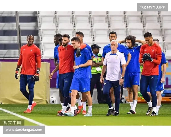 2023年法国队对阵波兰队世界杯淘汰赛精彩回顾与赛后分析