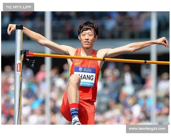 张国伟退役后待遇情况解析与未来发展方向探讨